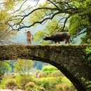 上饶旅游 缩略图 2