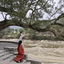 黄山旅游 缩略图 18