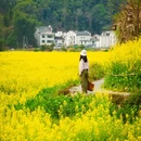 上饶旅游 缩略图 6