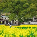 上饶旅游 缩略图 5