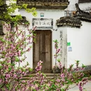 上饶旅游 缩略图 15