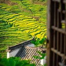 上饶旅游 缩略图 9