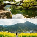 上饶旅游 缩略图 16