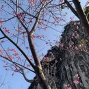 桂林旅游 缩略图 4