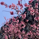 桂林旅游 缩略图 3