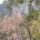 桂林旅游 缩略图 4