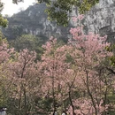桂林旅游 缩略图 3