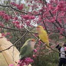 桂林旅游 缩略图 9