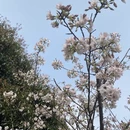 桂林旅游 缩略图 11