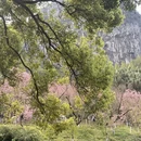 桂林旅游 缩略图 2