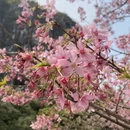 桂林旅游 缩略图 12