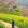 黄山