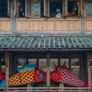 黄山旅游 缩略图 9