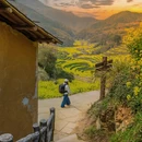 黄山旅游 缩略图 2