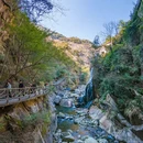 黄山旅游 缩略图 15