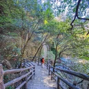 黄山旅游 缩略图 14
