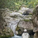 黄山旅游 缩略图 16