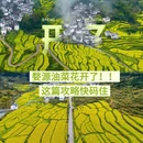 上饶旅游 缩略图 1