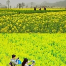 上饶旅游 缩略图 4