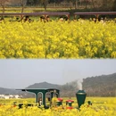 上饶旅游 缩略图 5
