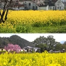 上饶旅游 缩略图 7