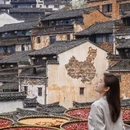 黄山旅游 缩略图 4