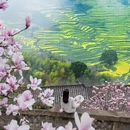 黄山旅游 缩略图 2