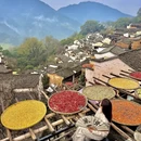 黄山旅游 缩略图 10