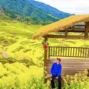 黄山旅游 缩略图 4