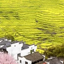 黄山旅游 缩略图 2