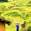黄山旅游 缩略图 3