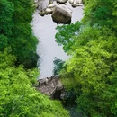 黄山旅游 缩略图 15