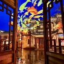 黄山旅游 缩略图 15