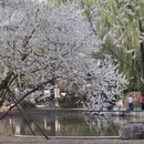 北京旅游 缩略图 8