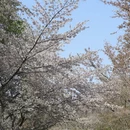 北京旅游 缩略图 5