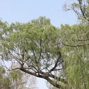 北京旅游 缩略图 7