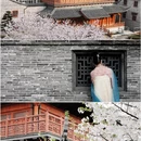 杭州旅游 缩略图 1