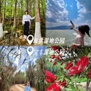 昆明旅游 缩略图 8