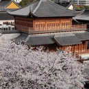 杭州旅游 缩略图 2