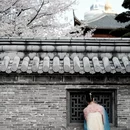 杭州旅游 缩略图 3
