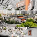杭州旅游 缩略图 7