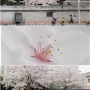杭州旅游 缩略图 10