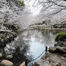 上海旅游 缩略图 4