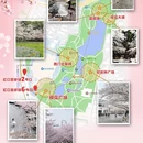 上海旅游 缩略图 3