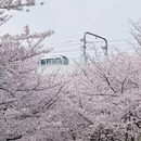 上海旅游 缩略图 6