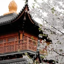 杭州旅游 缩略图 6
