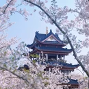无锡旅游 缩略图 1
