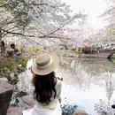上海旅游 缩略图 8