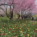 北京旅游 缩略图 9