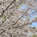 北京旅游 缩略图 14